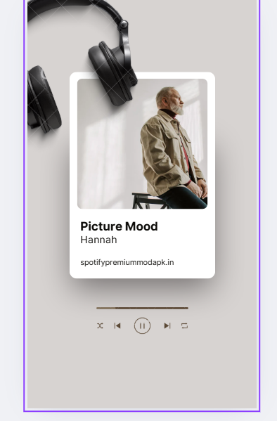 spotify lyrics